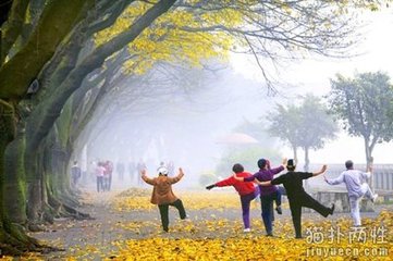 1517035663743879.jpg 56dd38bb96a5f981a0f3487557282b2f_t01cf6d4b394a9c70f5.jpg
