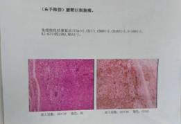 1465526366934105.jpg image010.jpg