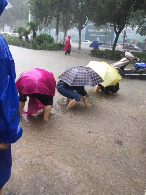 1626940692666524.jpg