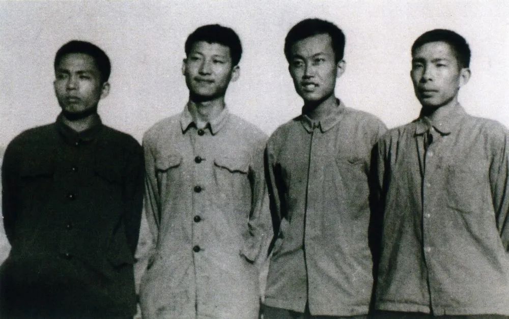 图片 图片